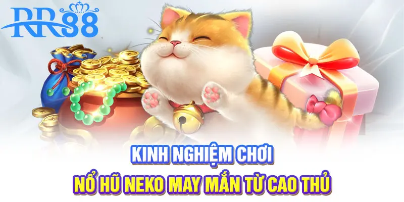 Kinh nghiệm chơi nổ hũ Neko may mắn từ cao thủ